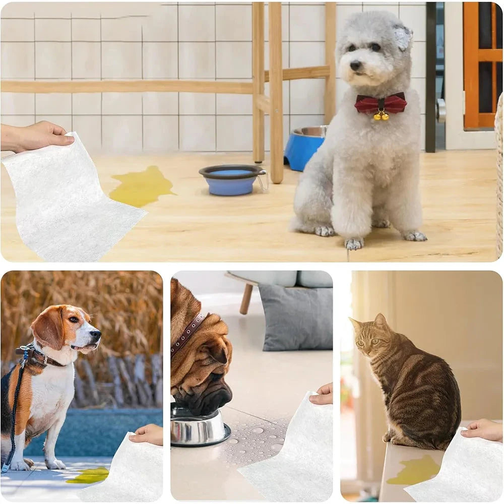 100PCS/Bag Dog Urine Absorbing Paper Pet Absorbent Paper Pet Diaper Urine Pad Quick Dry Wipe Urine Absorbent Paper Pet Supplies PawsnHeart