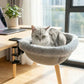 PurrDesk™