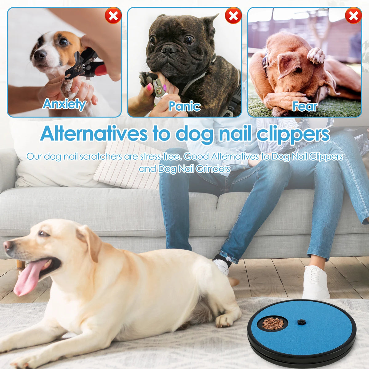 SpinNails™ Treat & Scratch Nail Board 🐾