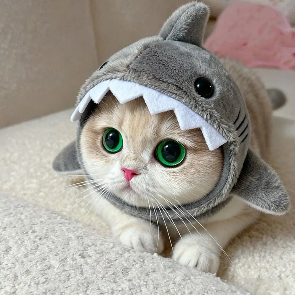 RoarPaws™