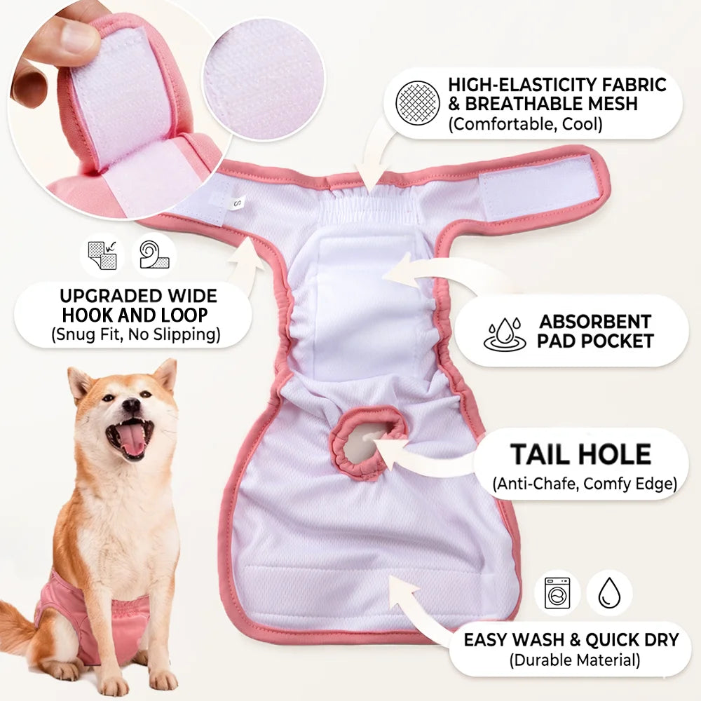 PawComfort™