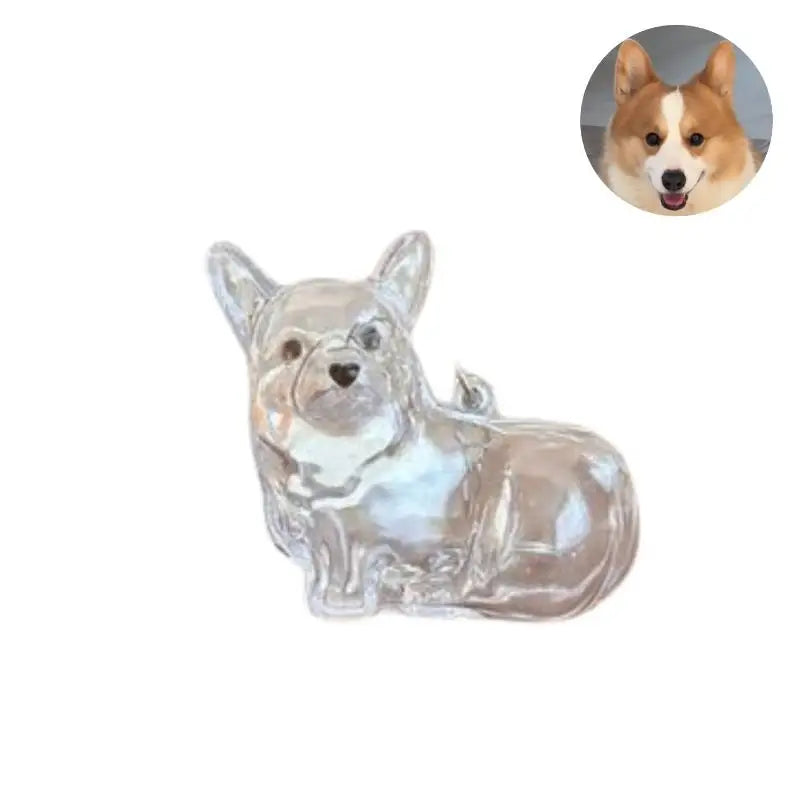ForeverPaws™