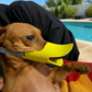 DuckiGuard™