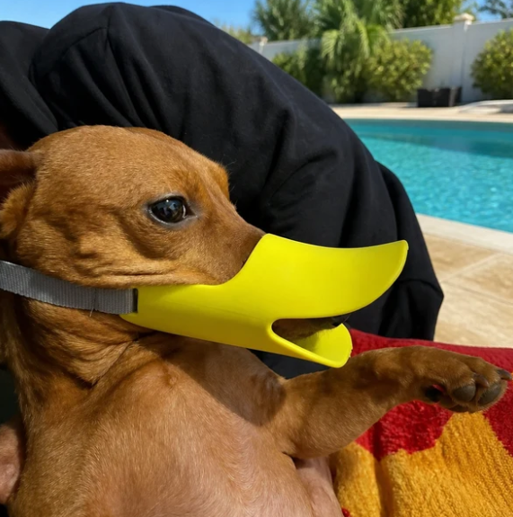DuckiGuard™