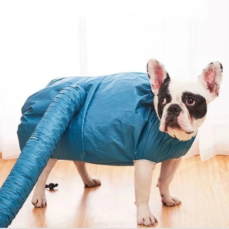 AirPaw™