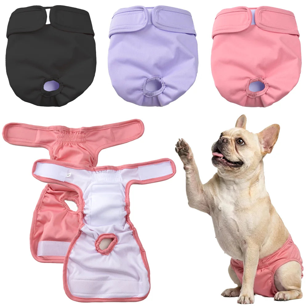 PawComfort™