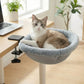 PurrDesk™