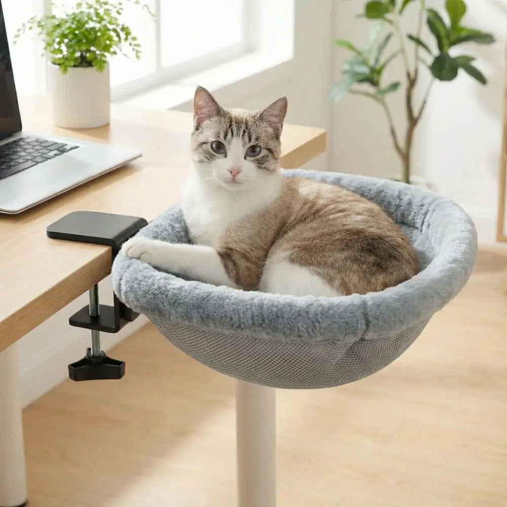 PurrDesk™