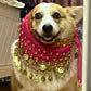ShakePaw™
