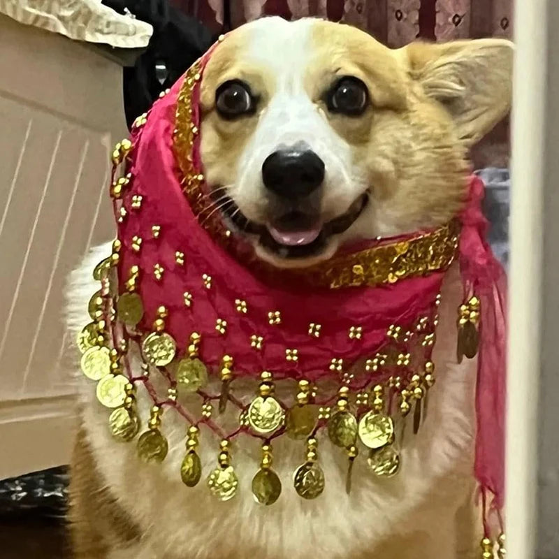 ShakePaw™