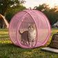 RolliPaw™