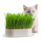 Kit de césped GrowEase™