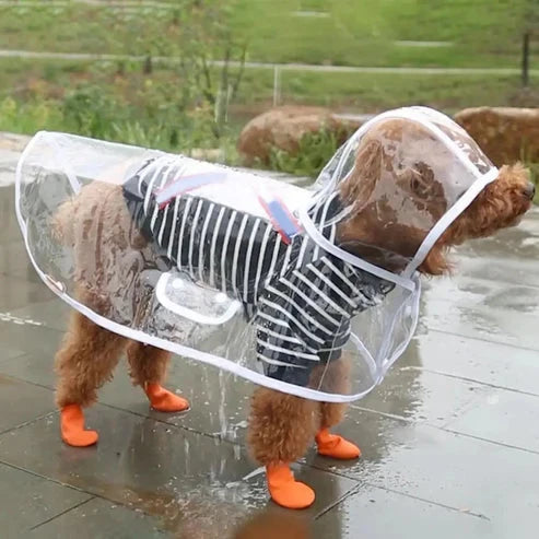 RainyWoof™ PawsnHeart